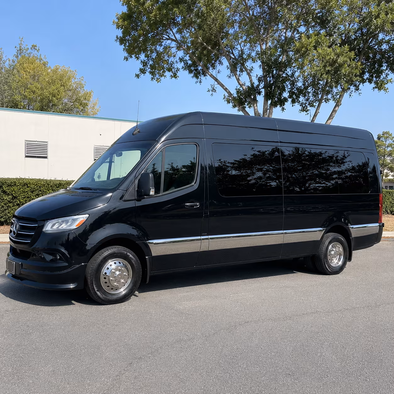 pittsburgh 10 passenger sprinter van